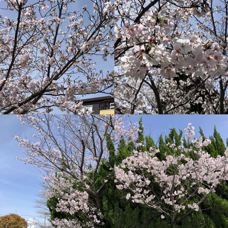 ミントちんさんの輝泉の湯(柳川温泉ホテル 輝泉荘)のサ活写真