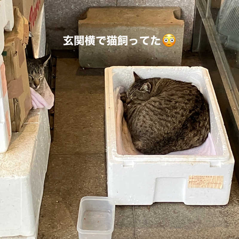 ミントちんさんのカルナパーク花立山温泉のサ活写真