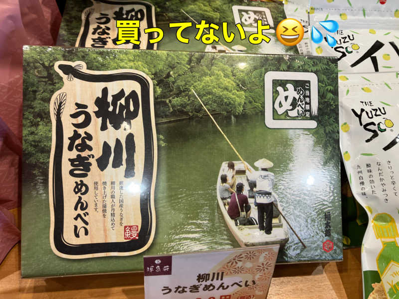 ミントちんさんの輝泉の湯(柳川温泉ホテル 輝泉荘)のサ活写真