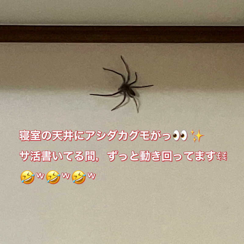 ミントちんさんの筑紫の湯のサ活写真