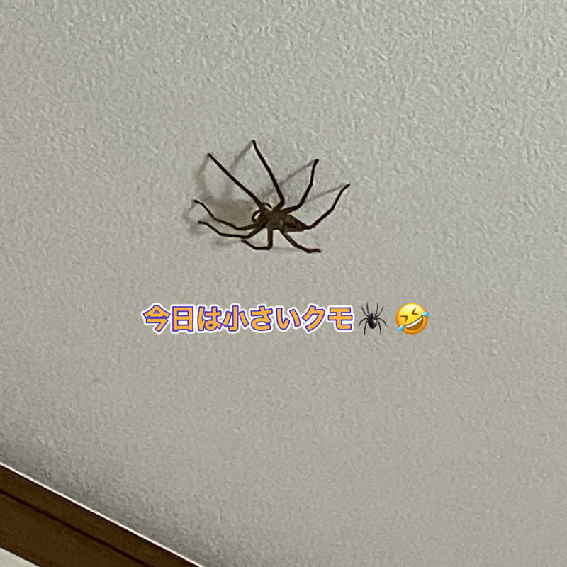 ミントちんさんの筑紫野 天拝の郷のサ活写真