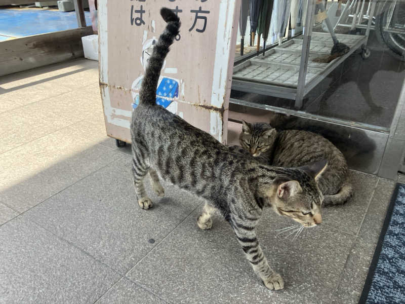 ミントちんさんのカルナパーク花立山温泉のサ活写真