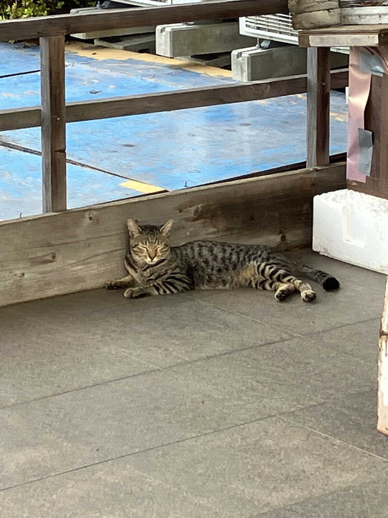 ミントちんさんのカルナパーク花立山温泉のサ活写真