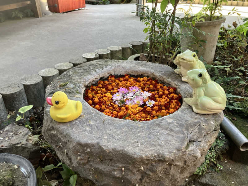 ミントちんさんの湯之元温泉のサ活写真