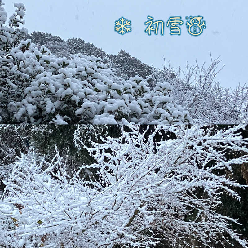 ミントちんさんのカルナパーク花立山温泉のサ活写真