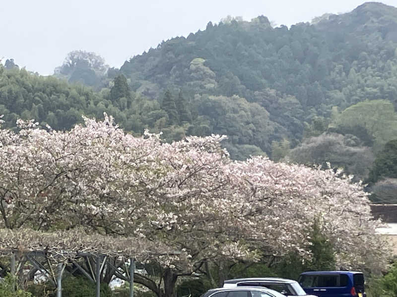 ミントちんさんの野田の湯 やすらぎ荘のサ活写真