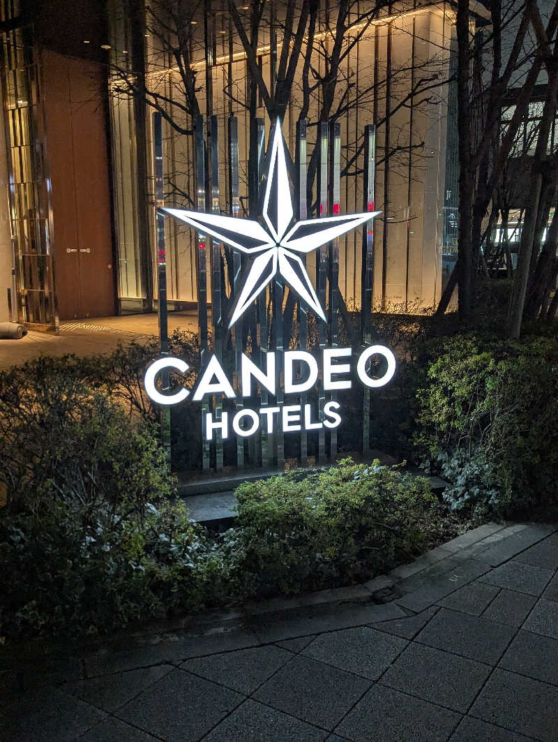 アーサウナさんのカンデオホテルズ大宮のサ活写真