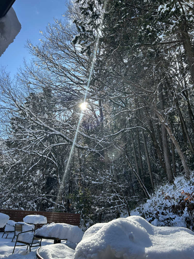 りとるじゃんがさんの関観光ホテル 西の屋別館 武芸川温泉のサ活写真