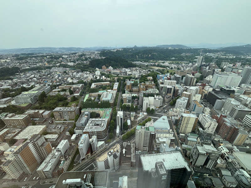 ガッさんのスパメッツァ 仙台 竜泉寺の湯のサ活写真