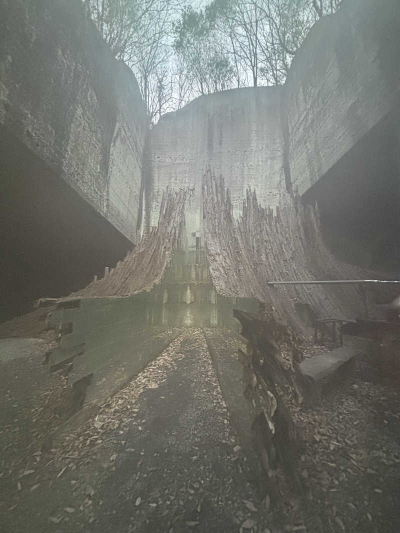 ガッさんの大谷元気炉 六号基 |AZUMAYAのサ活写真