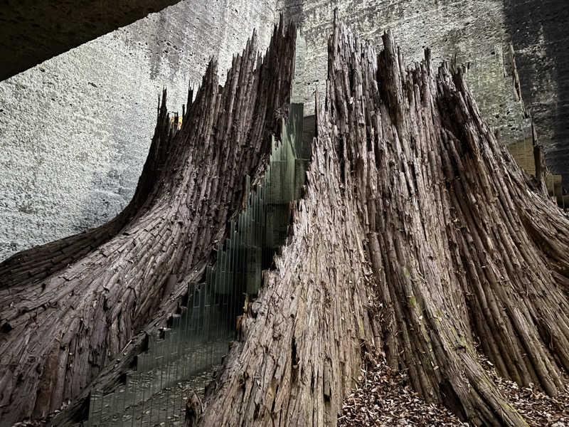 ガッさんの大谷元気炉 六号基 |AZUMAYAのサ活写真