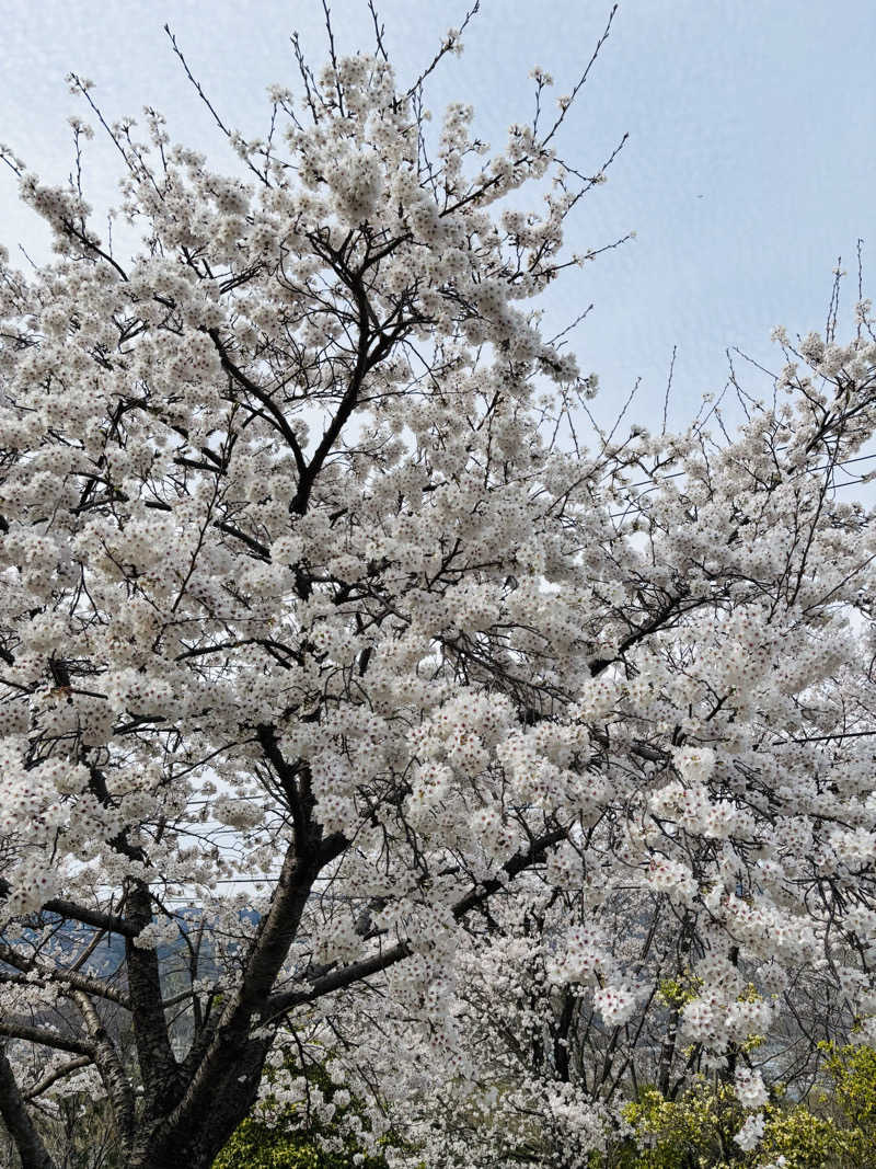 NAOTOさんの美濃田の湯のサ活写真