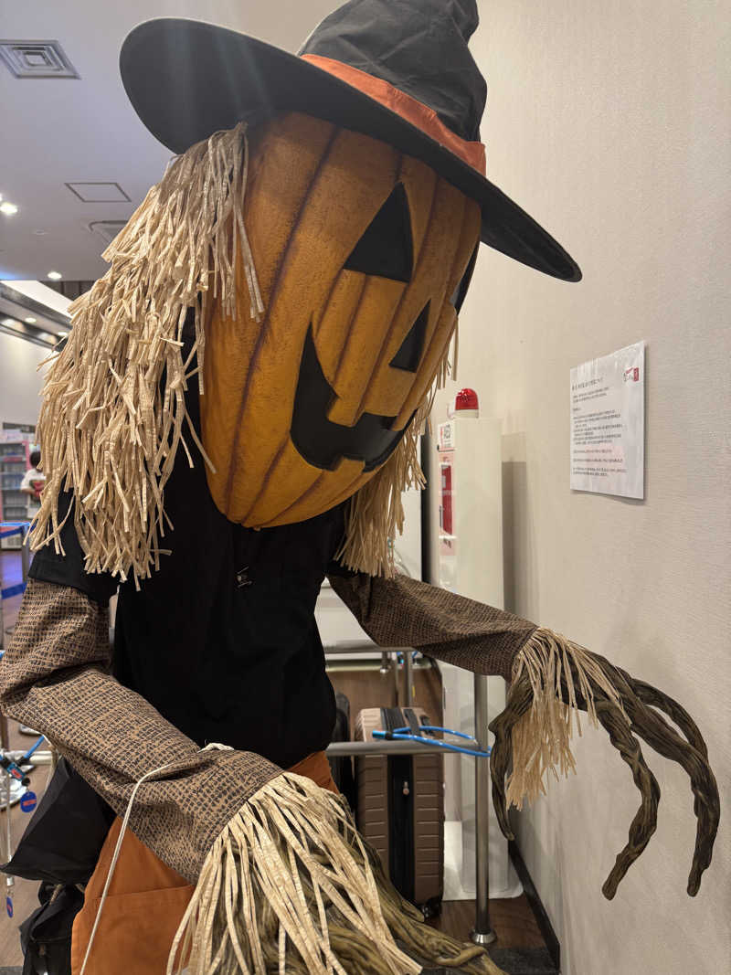 あんさんの天然温泉 なにわの湯のサ活写真