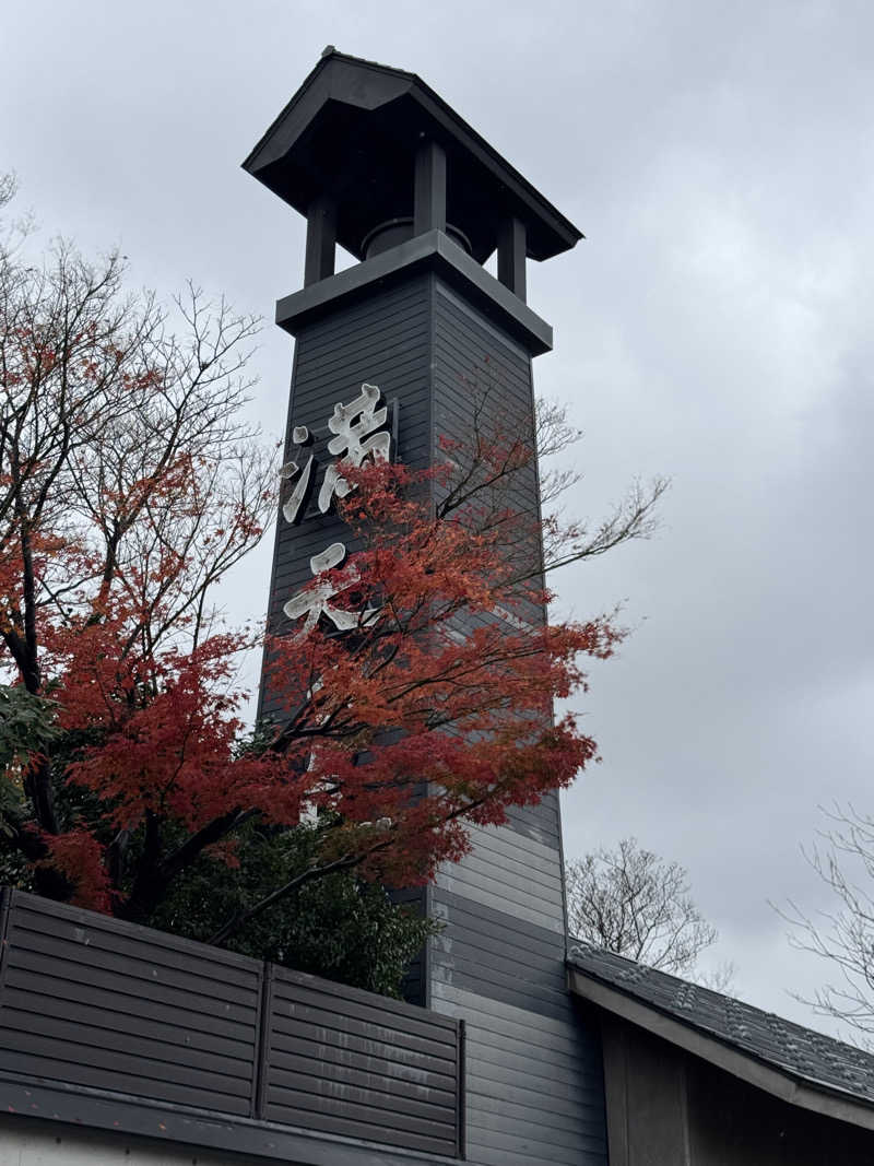 sauna好きさんの満天の湯 富山店のサ活写真