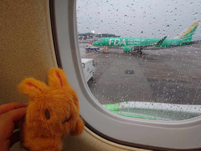 ラピン・クル太 a.k.a.ちゃうおじさんのグリーンランド 中洲店のサ活写真