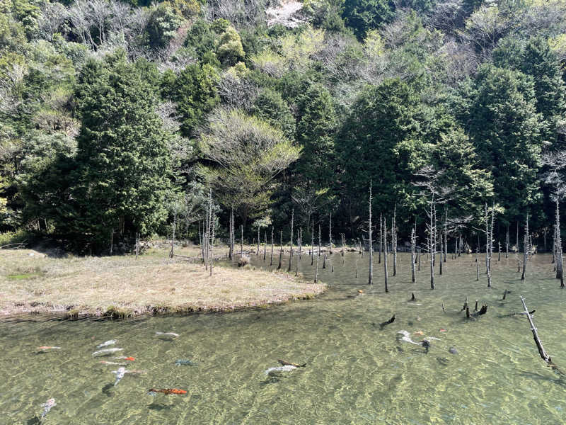 すさんの一の俣温泉グランドホテルのサ活写真