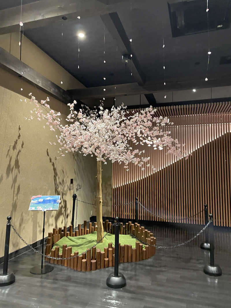 サウナにハマった26歳🧖‍♀️🌿さんの木の花の湯(HOTEL CLAD)のサ活写真