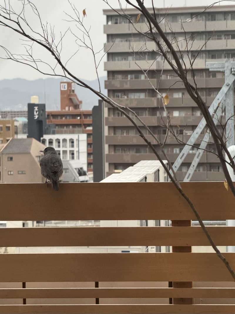 yukiさんのプライベートサウナ アメノチハレのサ活写真