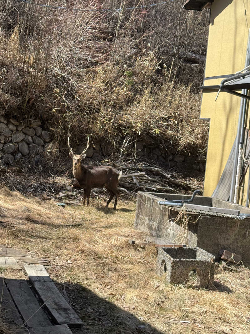 yukiさんの寒の地獄旅館のサ活写真
