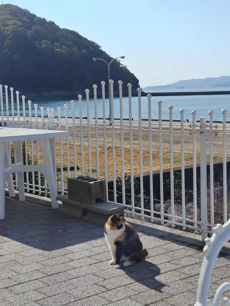 ばりばりばりぃさんさんのシーパの湯のサ活写真