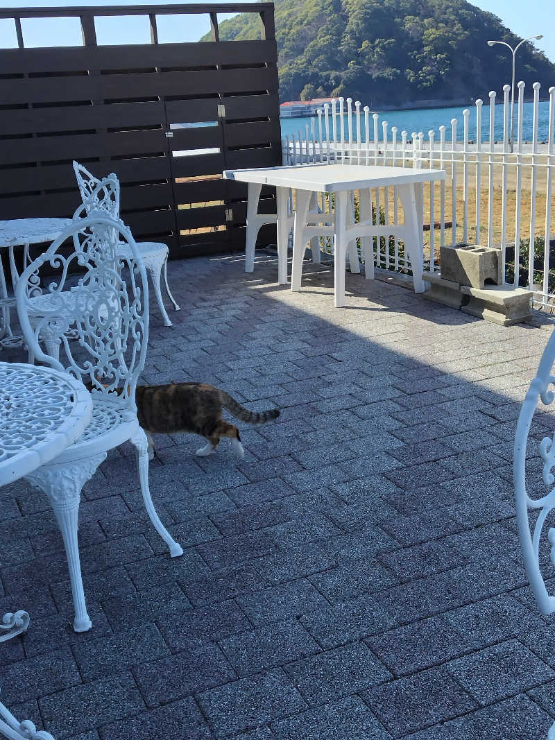 ばりばりばりぃさんさんのシーパの湯のサ活写真