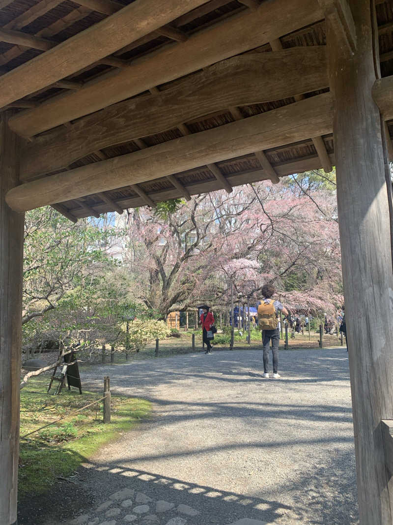 HOTさんの湯乃泉 東名厚木健康センターのサ活写真