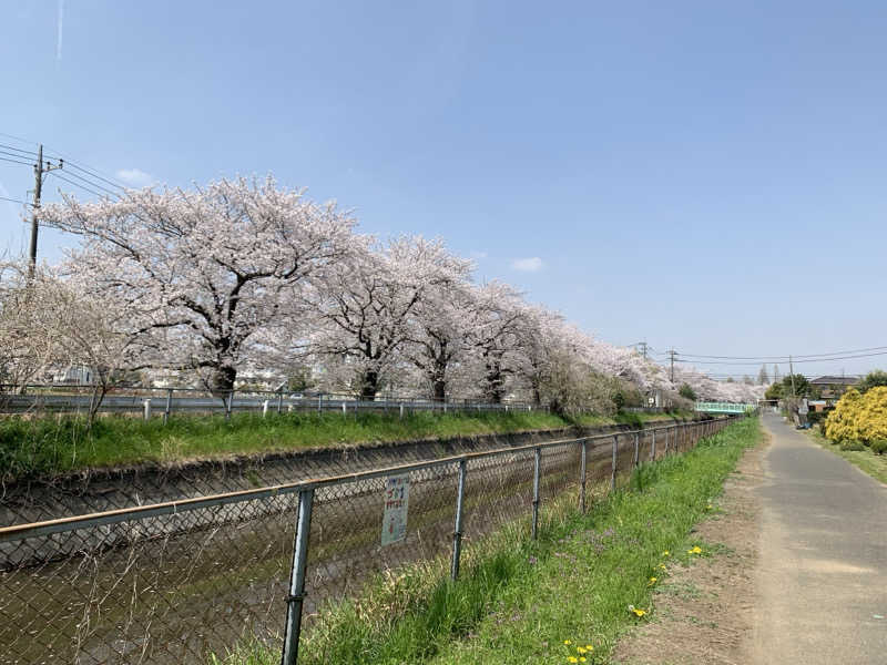 HOTさんの見沼ヘルシーランドのサ活写真