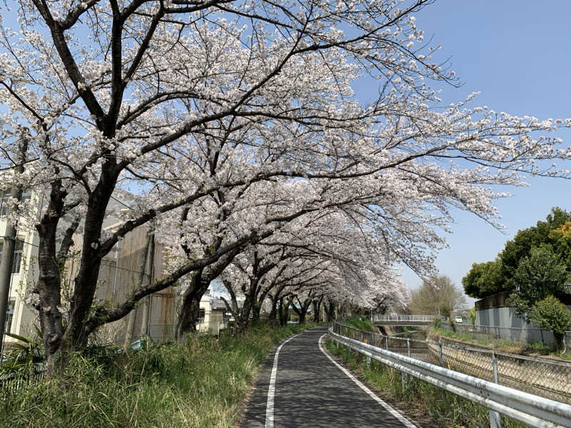 HOTさんの見沼ヘルシーランドのサ活写真
