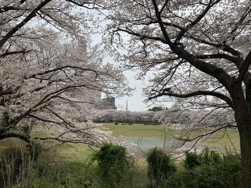 HOTさんの見沼ヘルシーランドのサ活写真