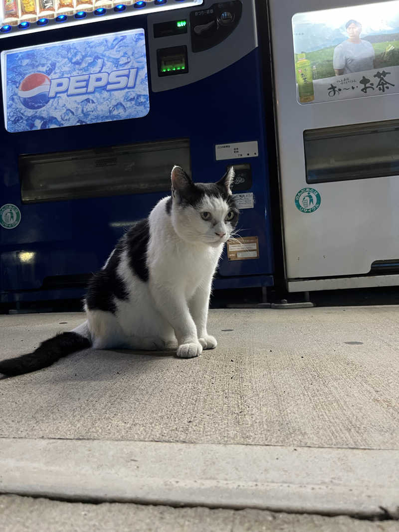 Kazuvaniさんのヌルヌル有田温泉のサ活写真