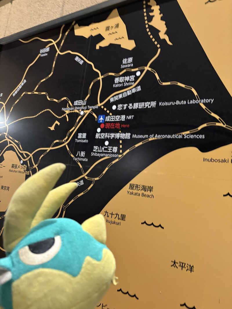 カクさんの成田空港温泉 空の湯のサ活写真