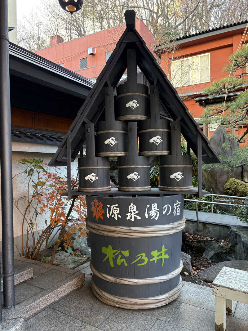 マベリクさんの源泉湯の宿 松乃井のサ活写真