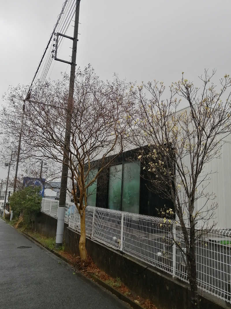 ゴボウさんの毎日サウナ 八王子店のサ活写真