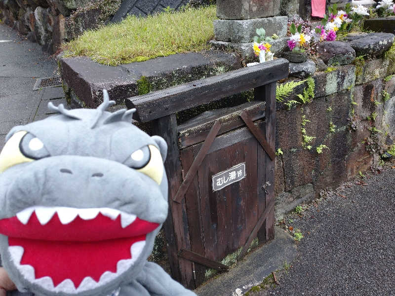 富士山さんの柴石温泉のサ活写真