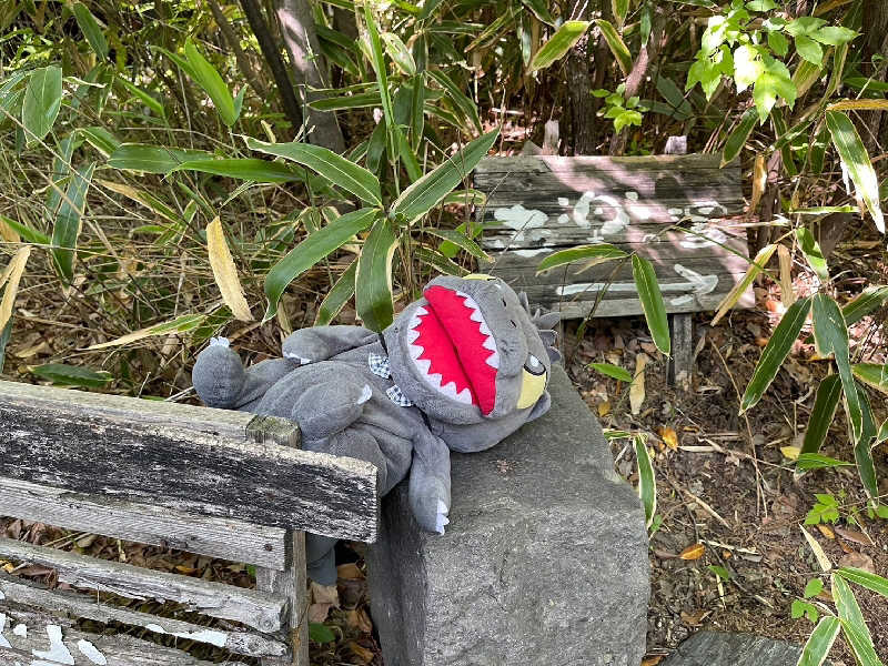 富士山さんの縄文天然温泉 志楽の湯のサ活写真