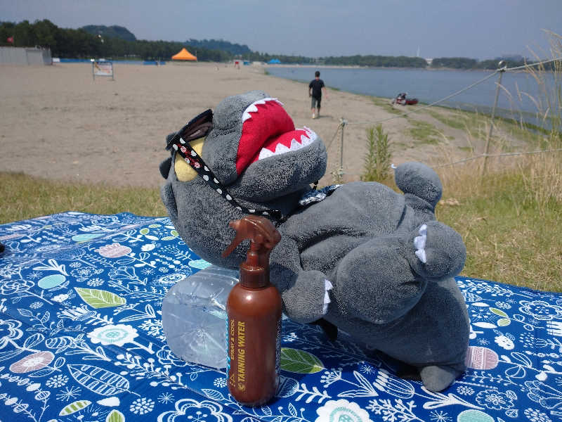 富士山さんの亀遊舘のサ活写真