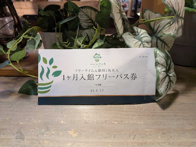 迅雷さんのおふろcafé ハレニワの湯のサ活写真