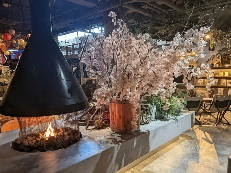 迅雷さんのおふろcafé ハレニワの湯のサ活写真