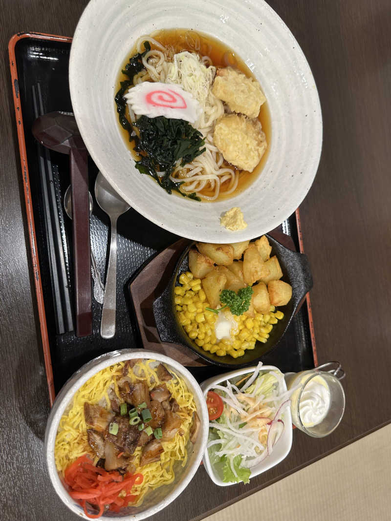 RX-78-2サウナタロウさんの宇都宮天然温泉 ベルさくらの湯のサ活写真