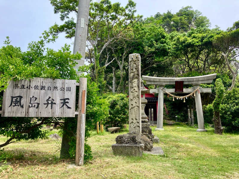 マキシさんの新穂潟上温泉のサ活写真