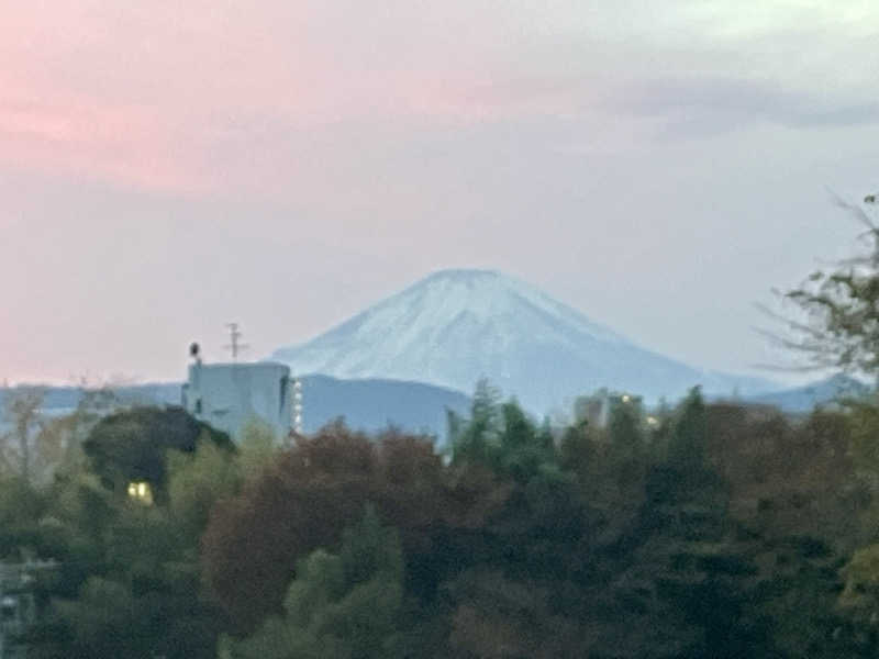 マキシさんの名水はだの富士見の湯のサ活写真
