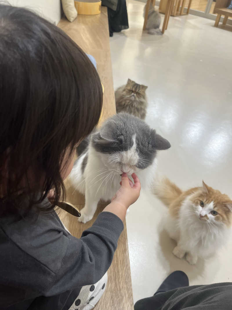 いもさんのナショナル温泉のサ活写真