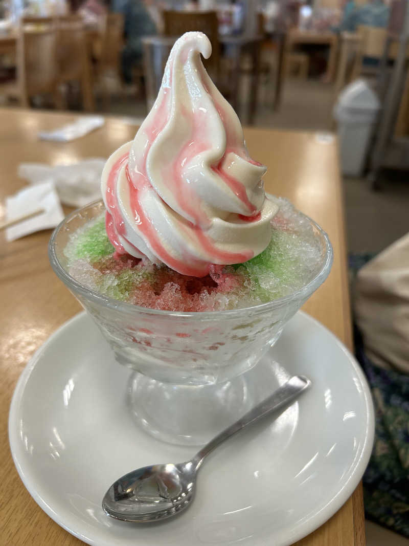 como@こもちゃんさんの湯乃泉 草加健康センターのサ活写真