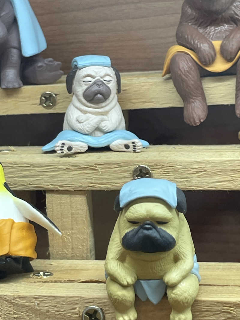 coco-sounaさんのサウナ&カプセルホテル レインボー新小岩店のサ活写真