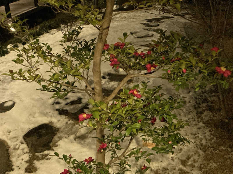 テムまつおじさんさんの杉戸天然温泉 雅楽の湯のサ活写真