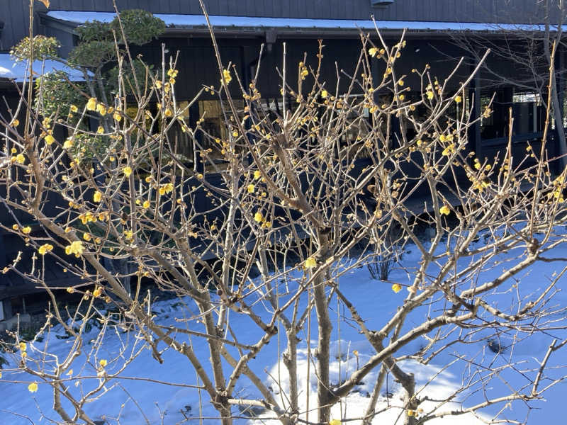 テムまつおじさんさんの杉戸天然温泉 雅楽の湯のサ活写真