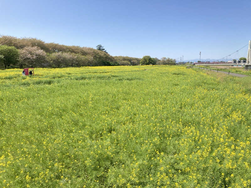 テムまつおじさんさんの杉戸天然温泉 雅楽の湯のサ活写真