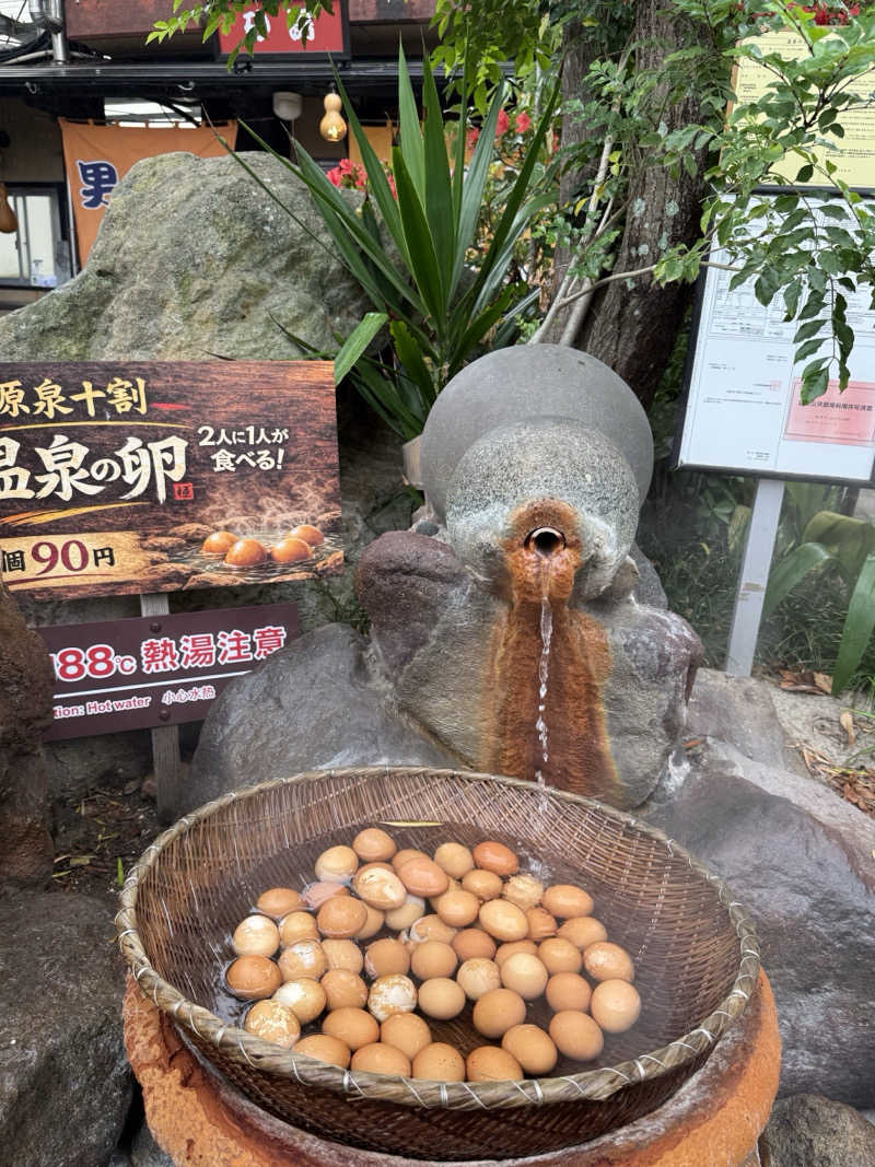 CHIさんのひょうたん温泉のサ活写真