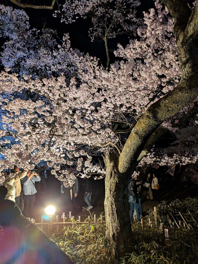 ちいたさんの山と渓流の宿 仙流荘のサ活写真