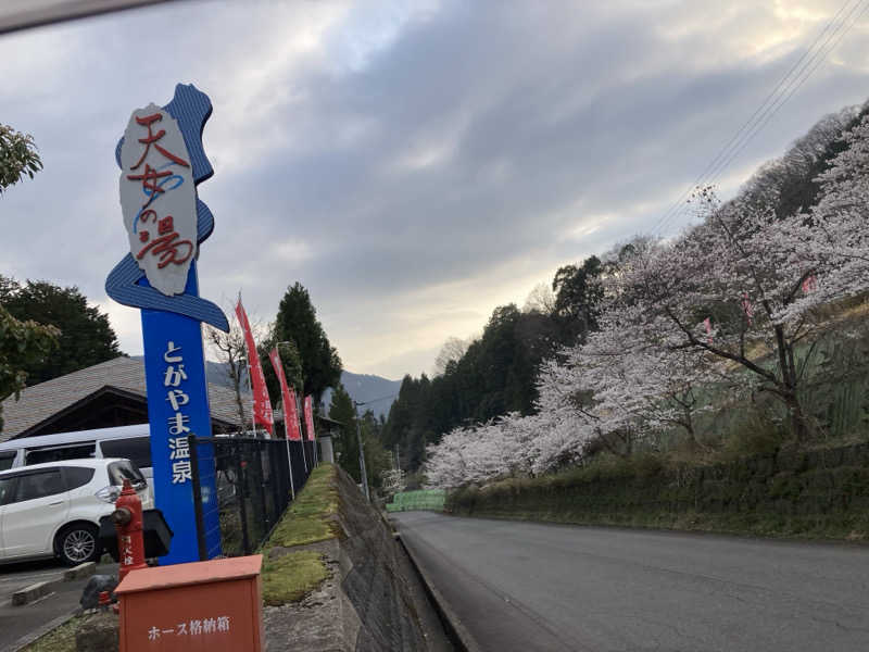 なおさんのとがやま温泉天女の湯のサ活写真